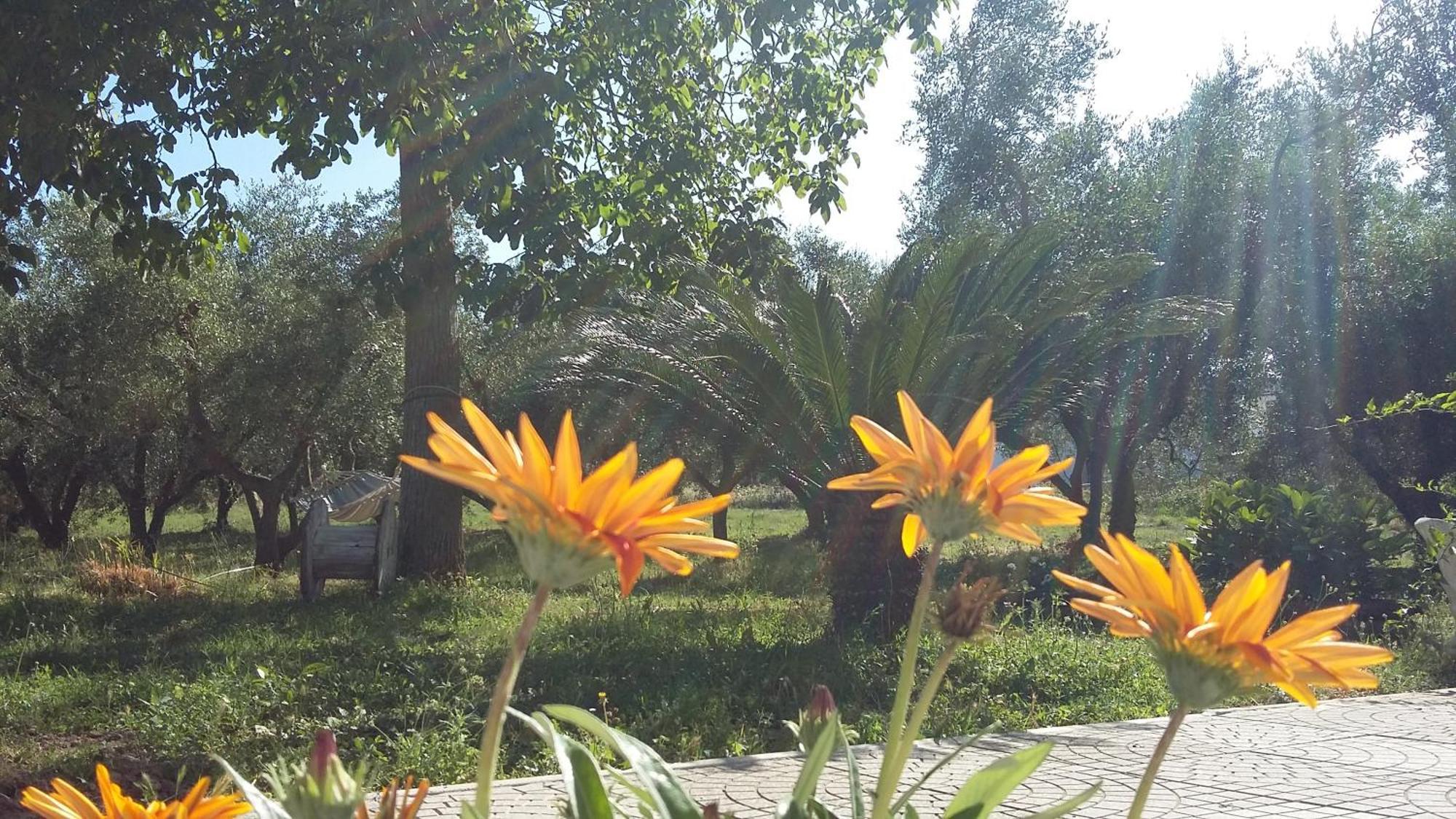 Agriturismo Santa Maria Marta Exterior photo