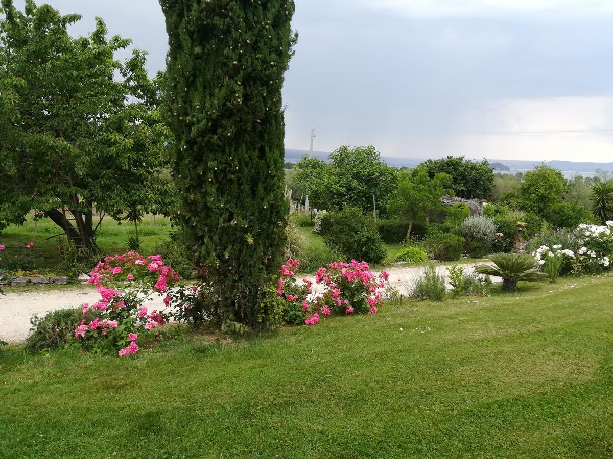 Agriturismo Santa Maria Marta Exterior photo